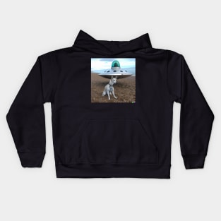 Space Dog #10 Kids Hoodie